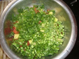 Ayurvedic treatment for CKD CKD Ayurvedic Treatment