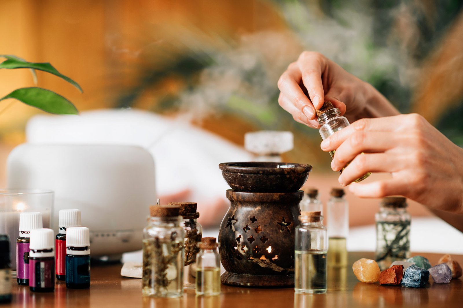 Himveda, Ayurvedic Centre in India